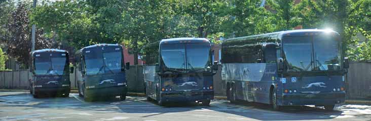 Greyhound Canada Prevost X3-45 8886, MCI 102-DL3 6202 & 6119